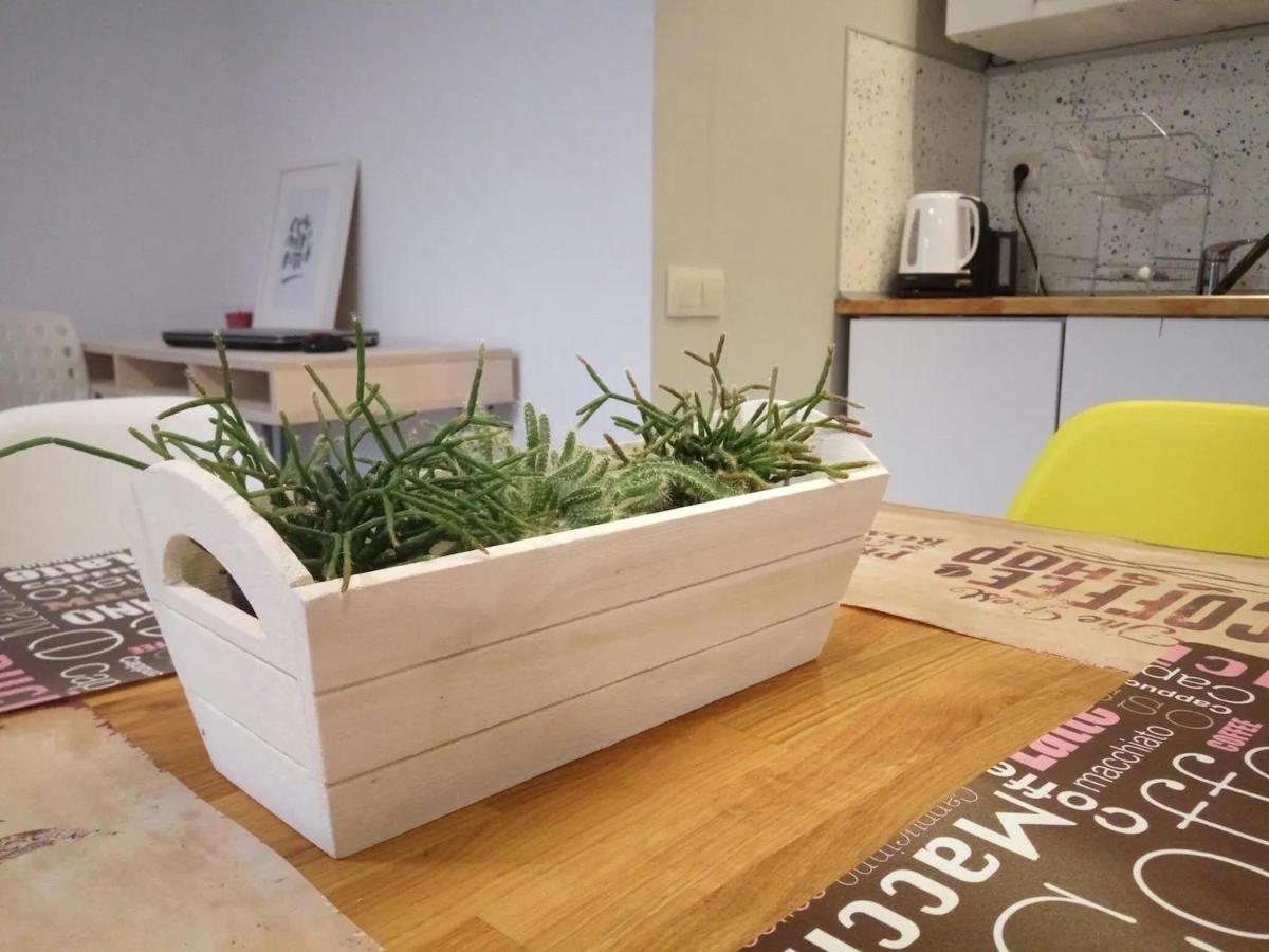 Quiet & Airy Modern Apt. Top Centre Free Parking Sofia Bagian luar foto